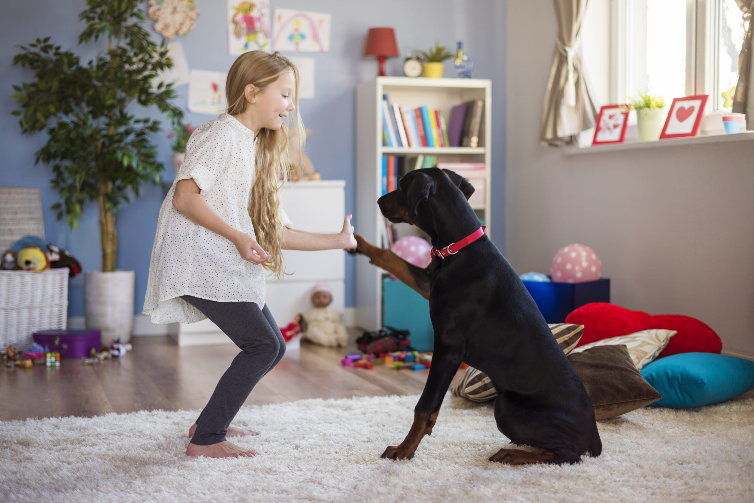 Child playing with a therapy dog in a child-friendly room during an Animal-Assisted Play Therapy session.