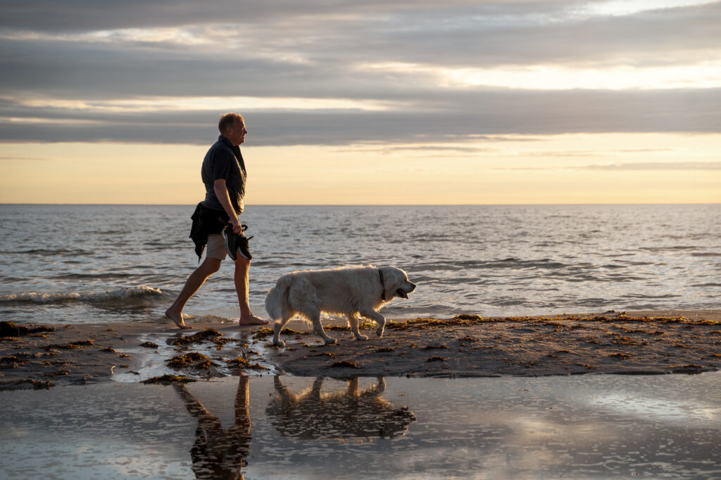 A person walking a dog during their Zoothérapie morning routine to start the day mindfully.