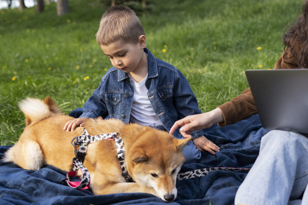 Child engaging with a therapy dog in an Animal-Assisted Play Therapy session