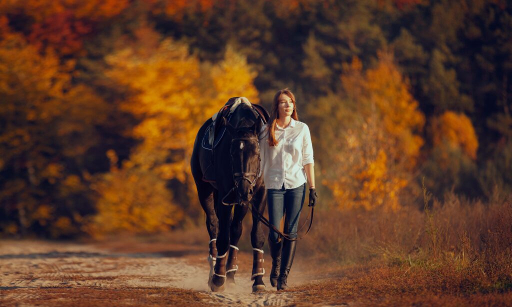 Equine-assisted therapy for building confidence and emotional growth