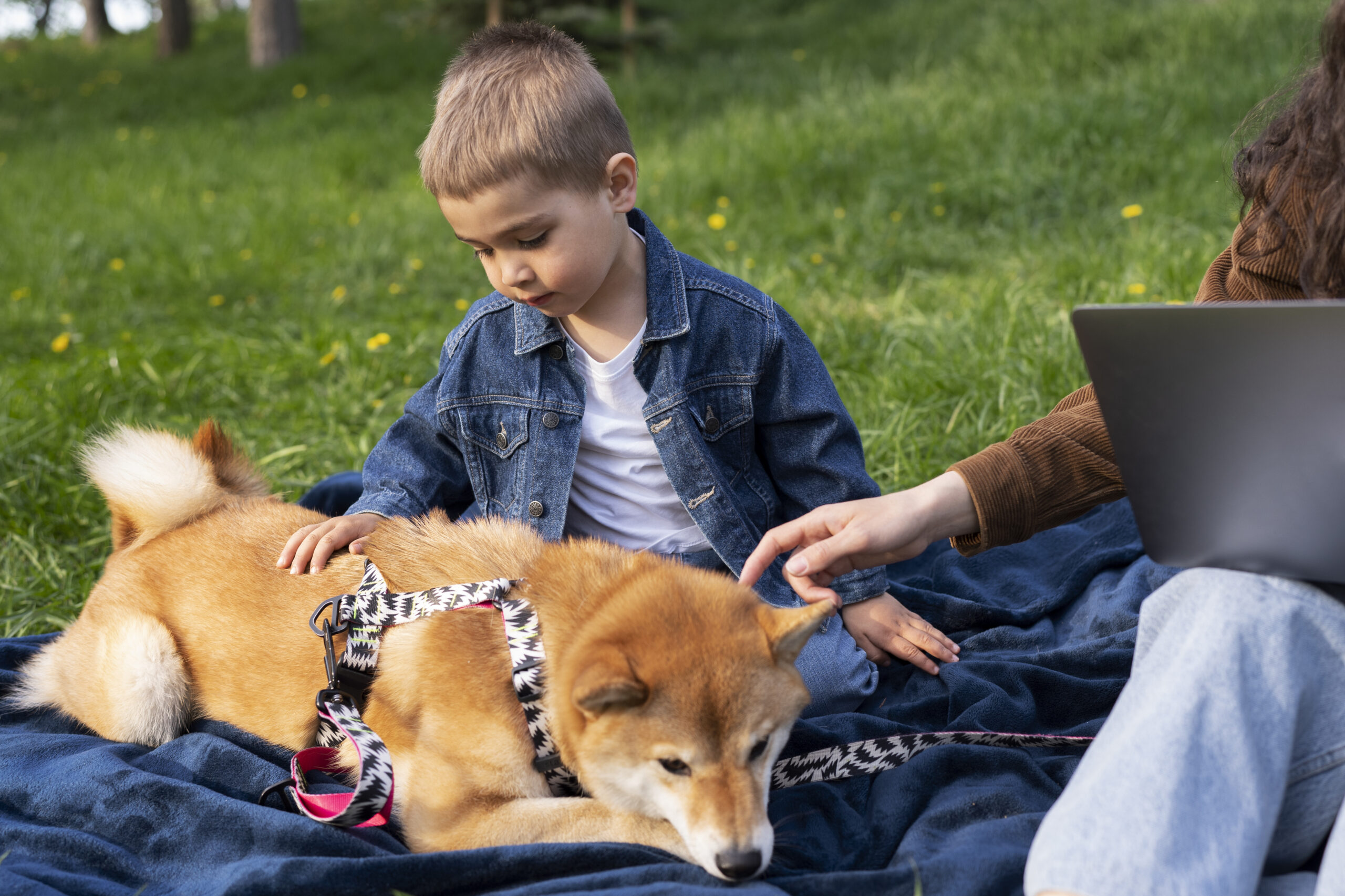 Can dogs help with ADHD by providing companionship and support?