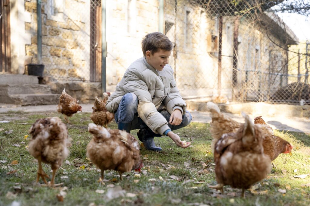 A person feeding chickens in a serene outdoor environment