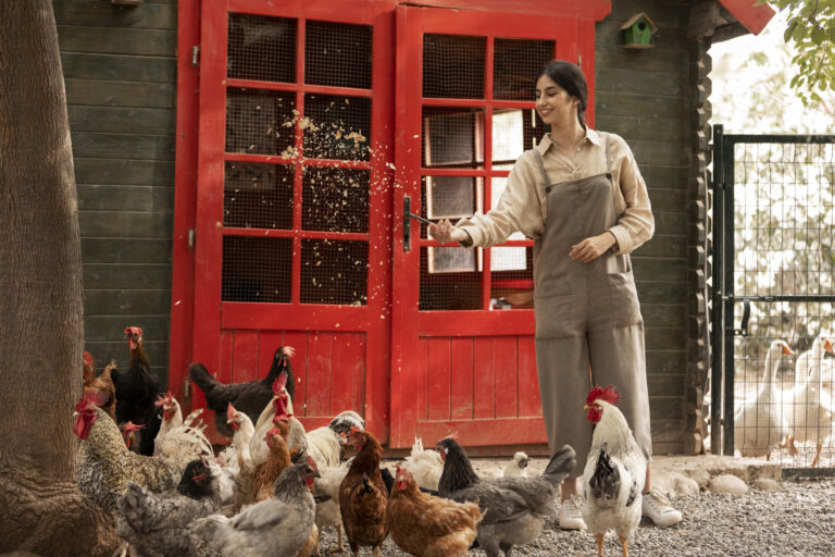 Chickens roaming freely in a coop showcasing chicken farming benefits