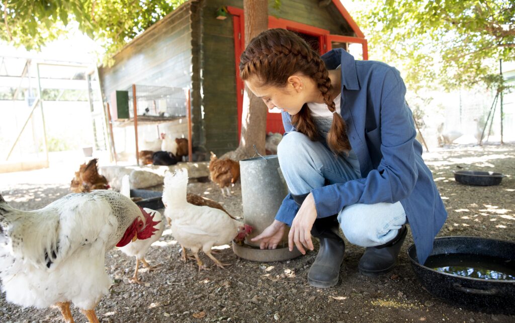 A person feeding chickens highlighting chicken farming benefits for mental health