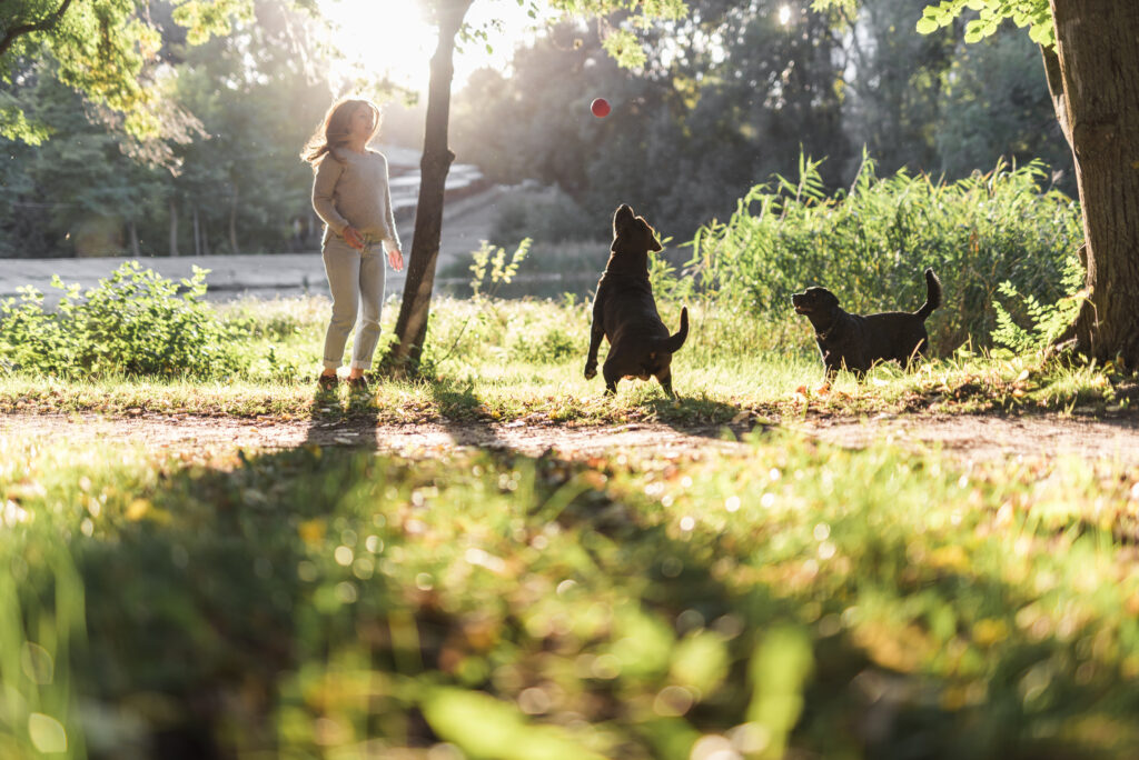 Can dogs help with ADHD by promoting physical activity?