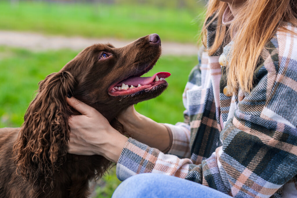 Animal-assisted therapy: Person petting a dog to reduce anxiety, showcasing the benefits of therapy dogs for anxiety management.