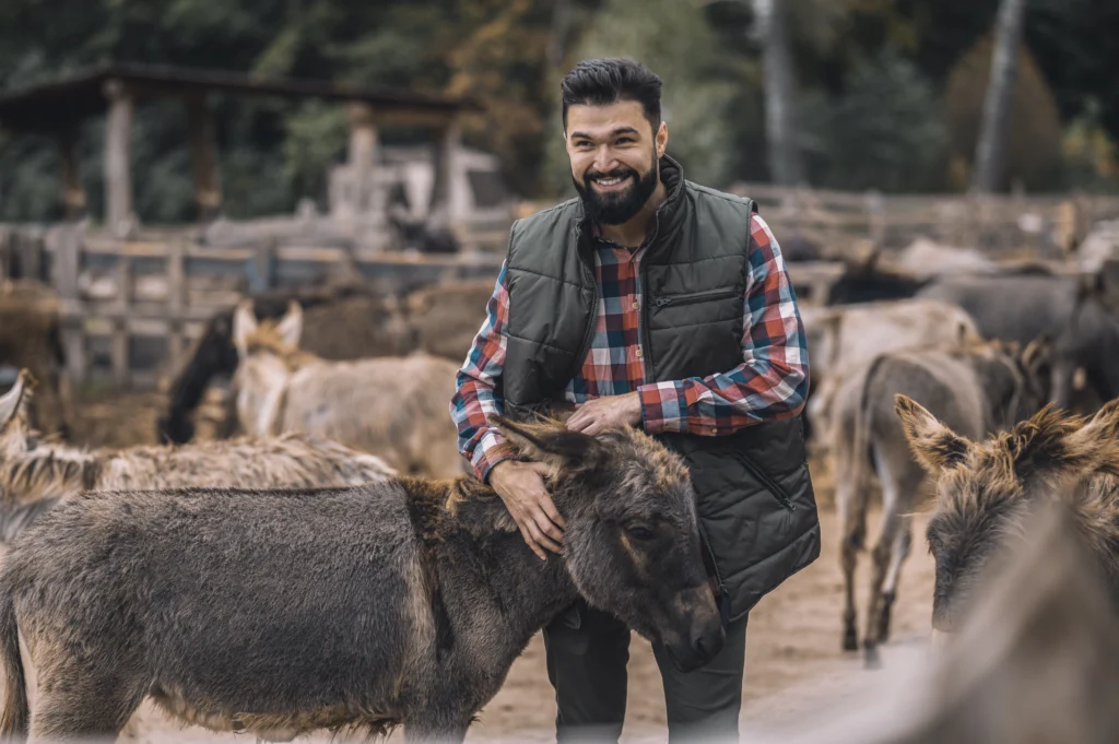 Man interacting with donkeys in a farm setting, illustrating the calming effect of donkeys as emotional support animals.