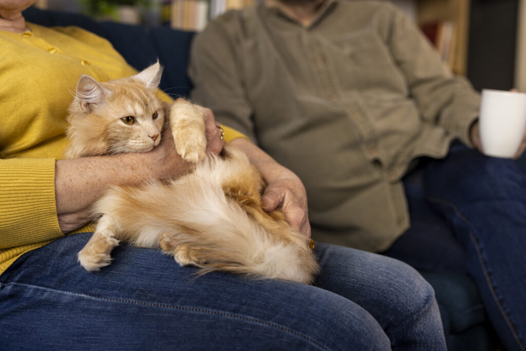 Elderly couple enjoying time with their therapy cat