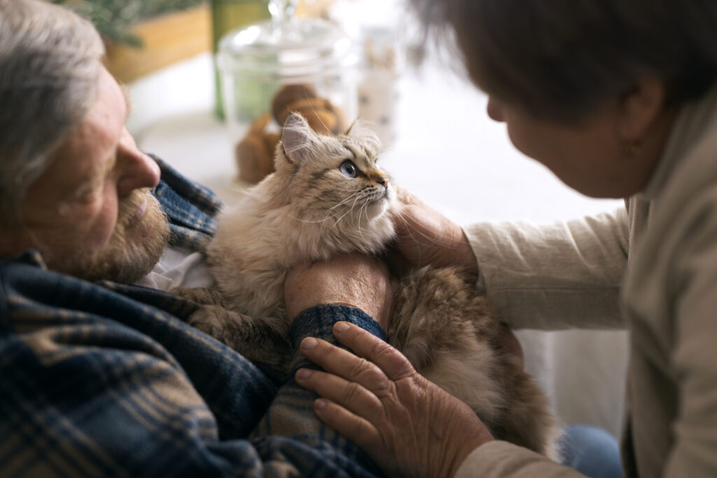 Elderly couple bonding with therapy cat, showing the emotional support and comfort provided by pets in hospice care.