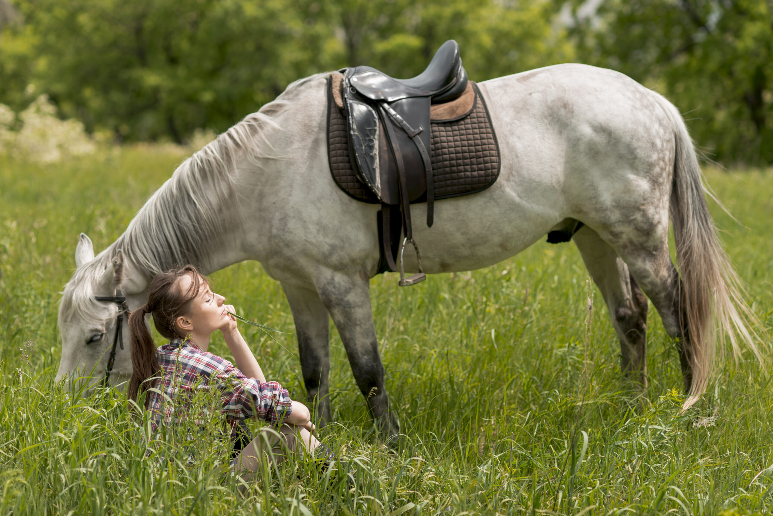 Equine-assisted therapy showing the connection between a person and a therapy horse