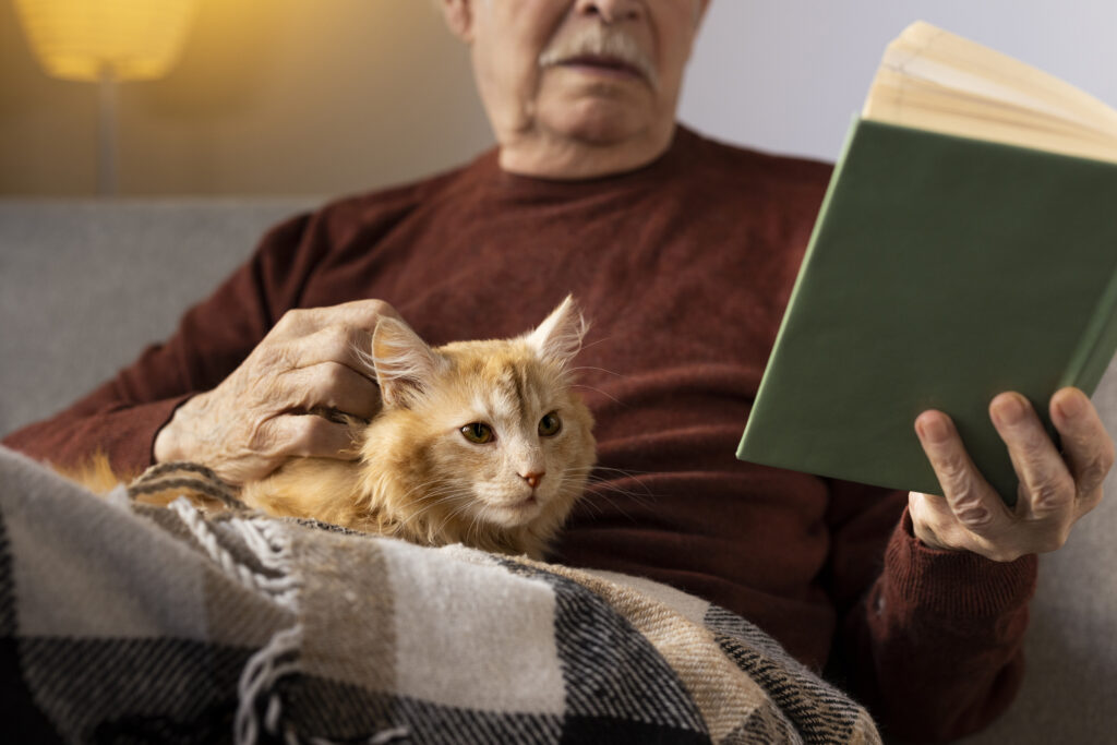 How cats help with loneliness by offering quiet companionship