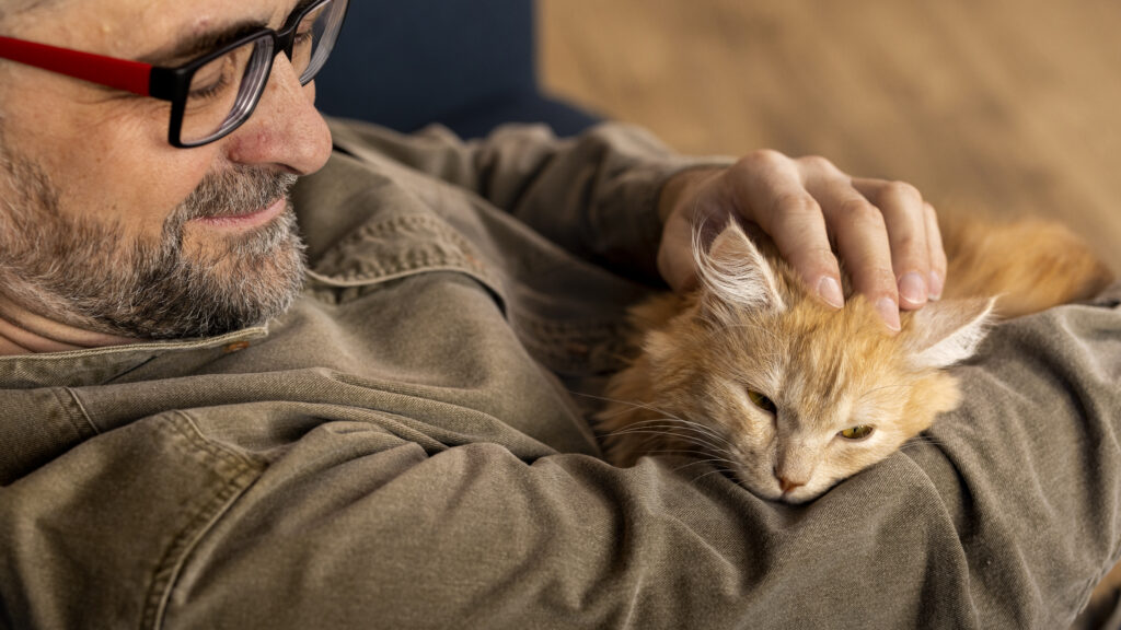 Cat purring effect on humans for healing and pain relief