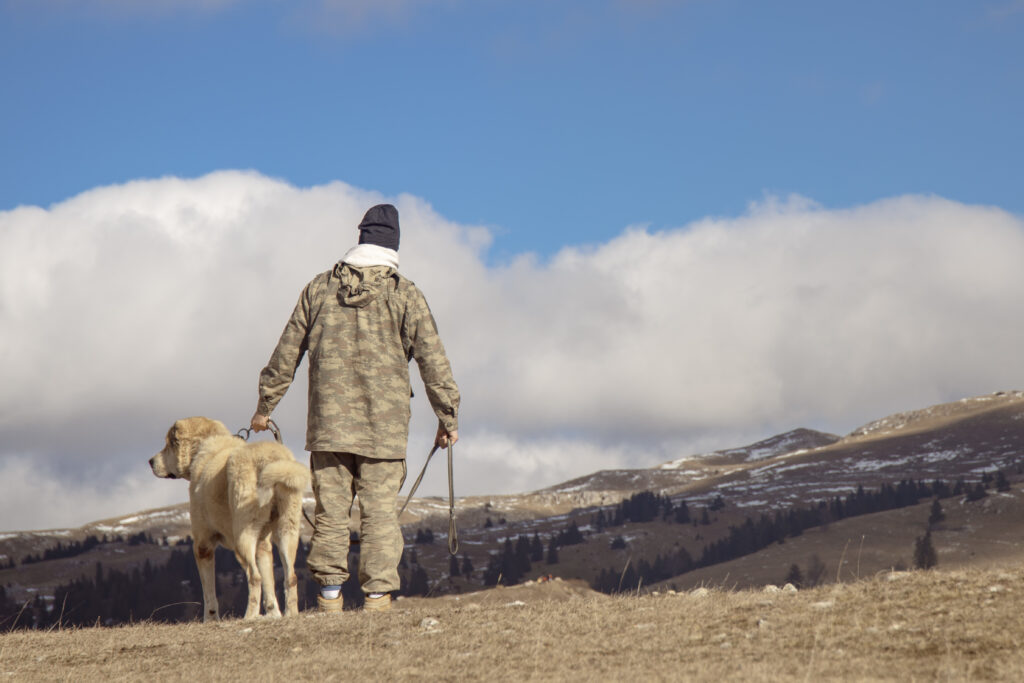 Veteran with service dog standing on a hill, symbolizing the support and bond between veterans with PTSD and their therapy dogs.