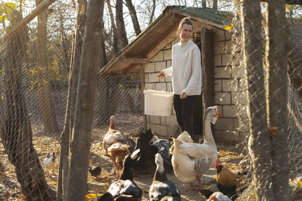 A person sitting with ducks in a backyard, emphasizing the companionship benefits of ducks as pets