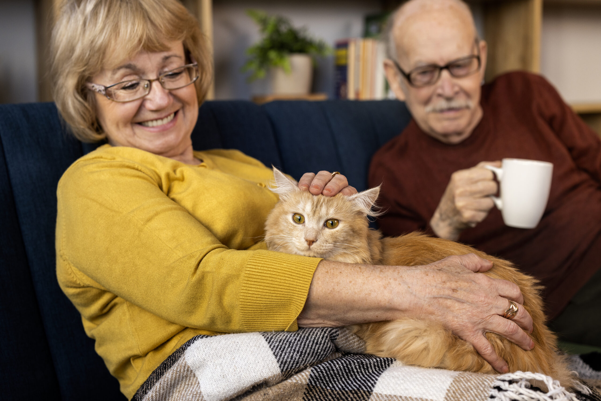 Pet Therapy in Hospice Enhancing Comfort and Well-Being for End-of-Life Care