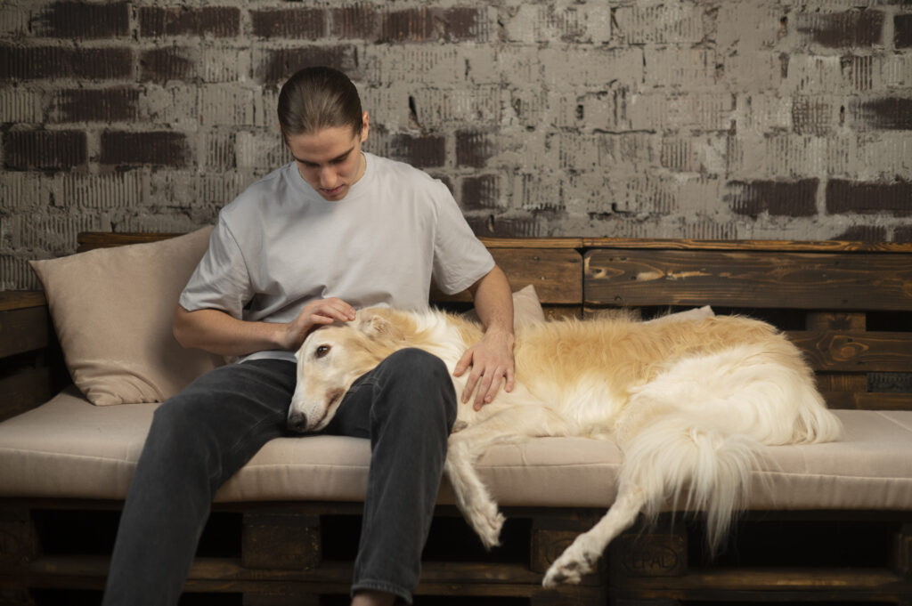 Therapy dog comforting person with social anxiety