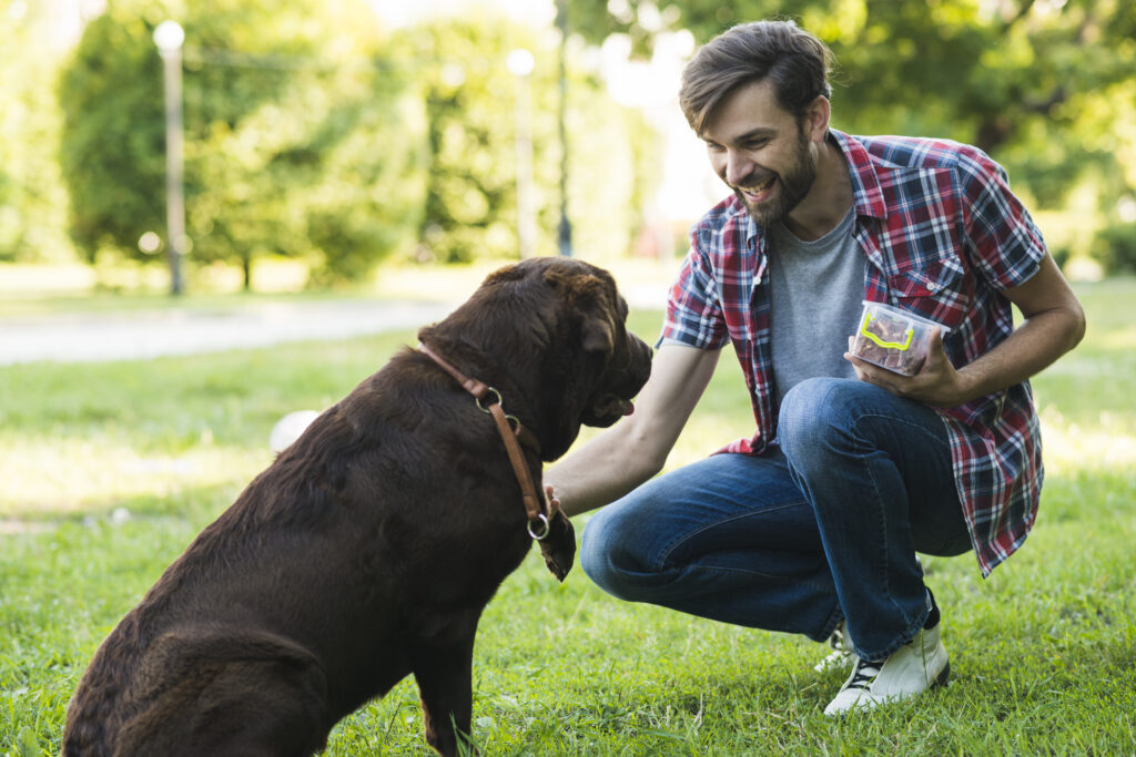 Owner using positive reinforcement to train an emotional support dog in a park.