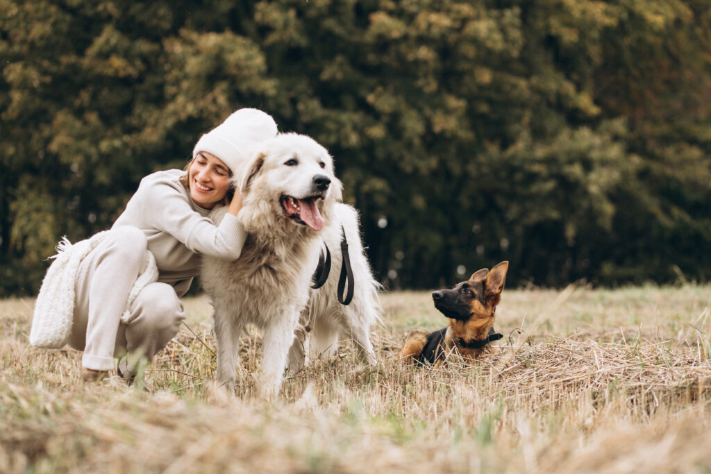 Woman with her emotional support dogs, including a Great Pyrenees and a German Shepherd, providing comfort and companionship in a field.
