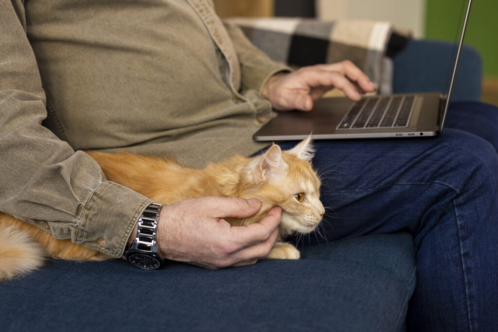 Therapy cat offering emotional support for depression treatment