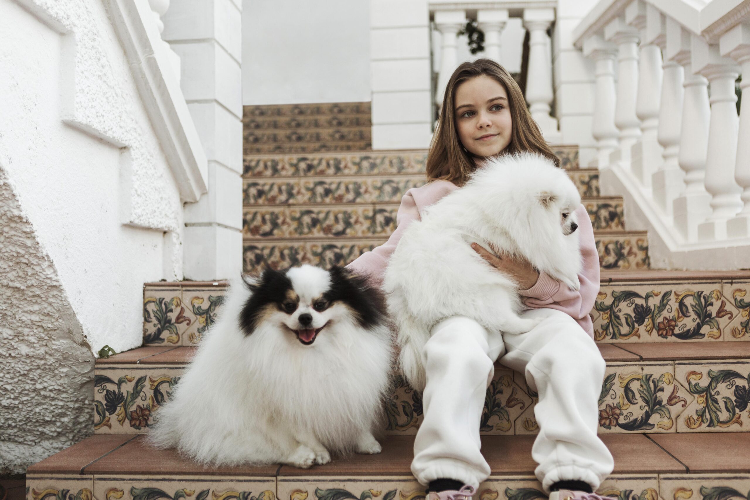 Family with a nonshedding therapy dog providing companionship