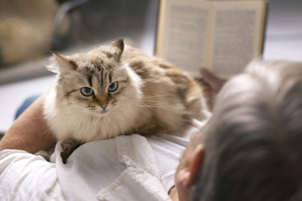 A woman petting her emotional support cat for stress relief.