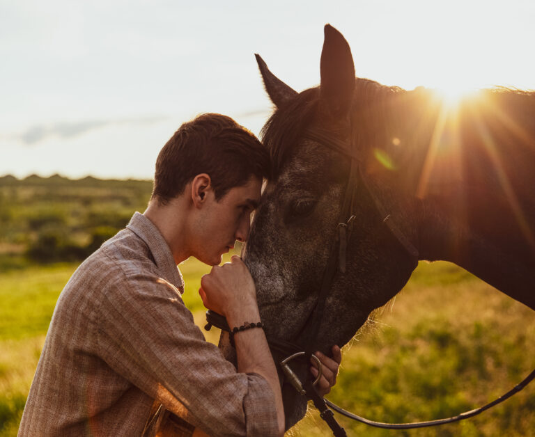 Young man hugging his horse in a sunlit field, fostering a deep bond.