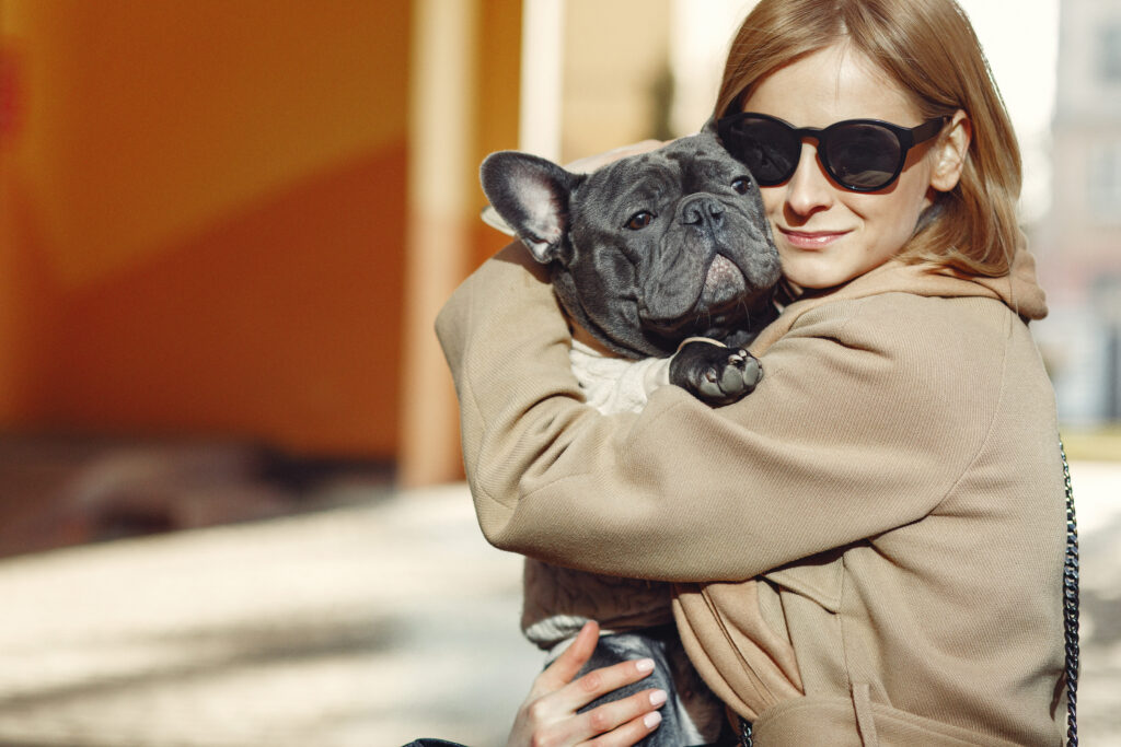 French Bulldog providing emotional support as a service dog for anxiety and PTSD, held by its loving owner.