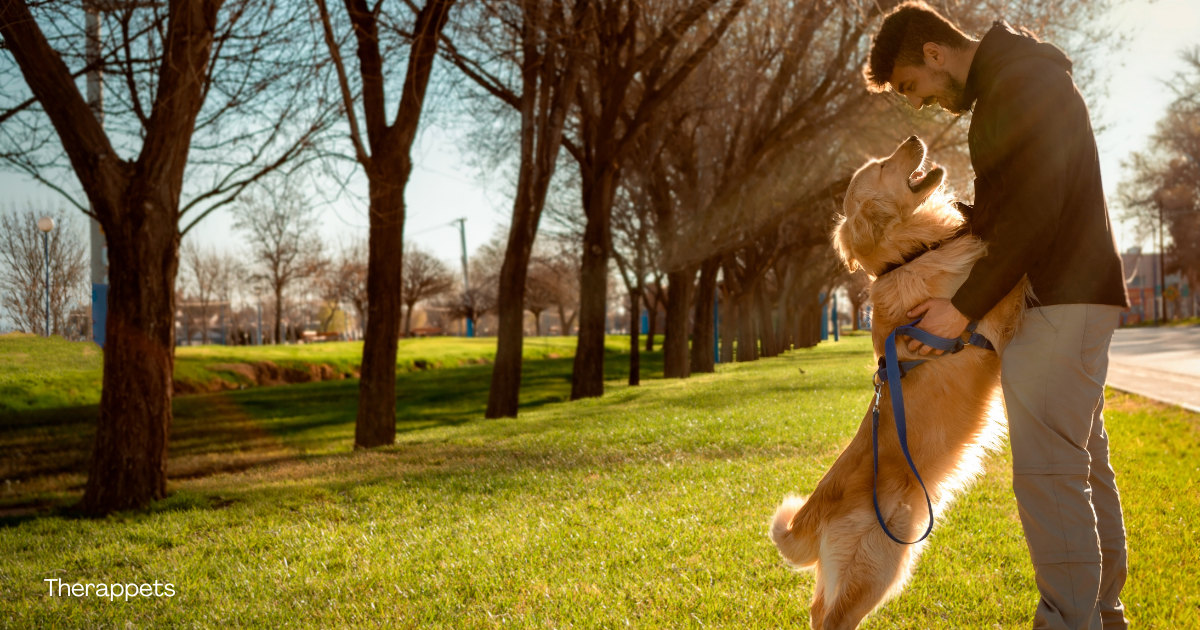 A man playing with his dog in a sunny park, highlighting the connection between owning a pet and cardiovascular health benefits.