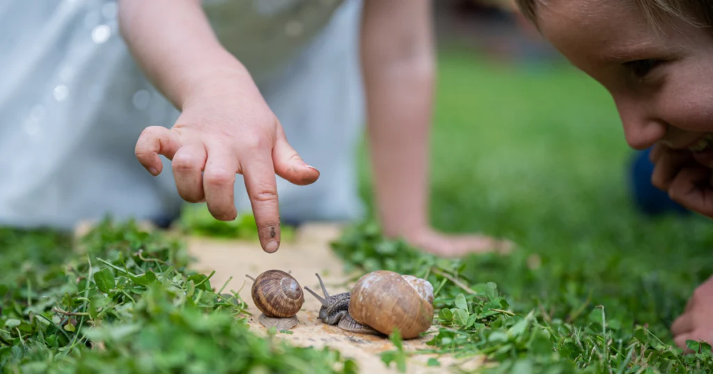 A child observing and interacting with snails in the grass, showcasing the joys of keeping snails as pets.