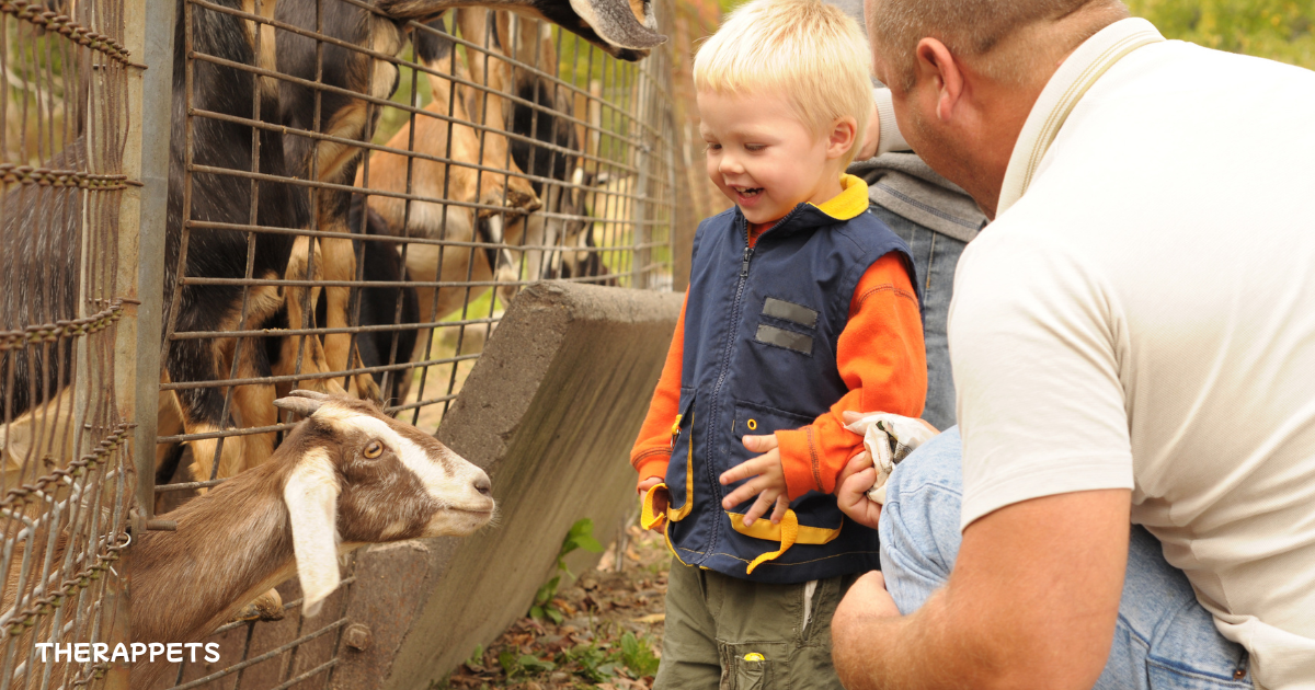 A young boy and his father enjoying an interaction with a goat at a petting zoo, showcasing the healing power of petting zoos.